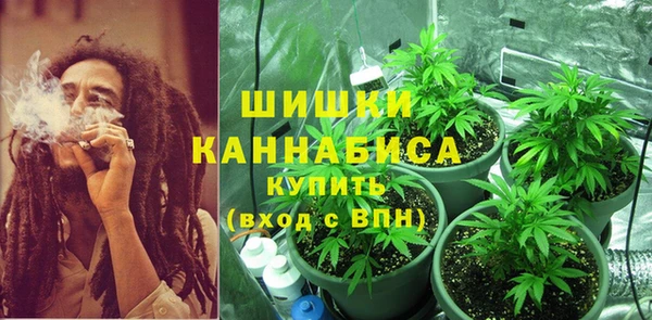 марки lsd Гусь-Хрустальный