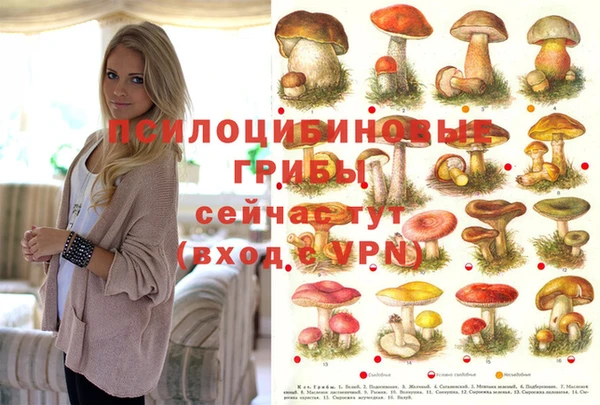кристаллы Гусиноозёрск