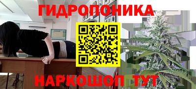 СК Краснокаменск