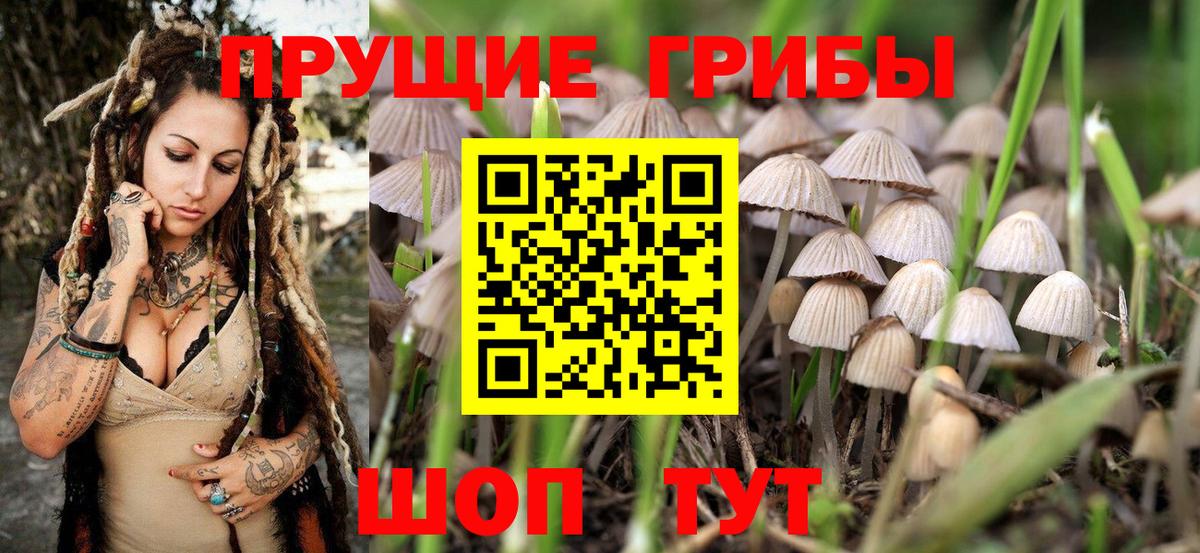 Галлюциногенные грибы мухоморы Усолье-Сибирское