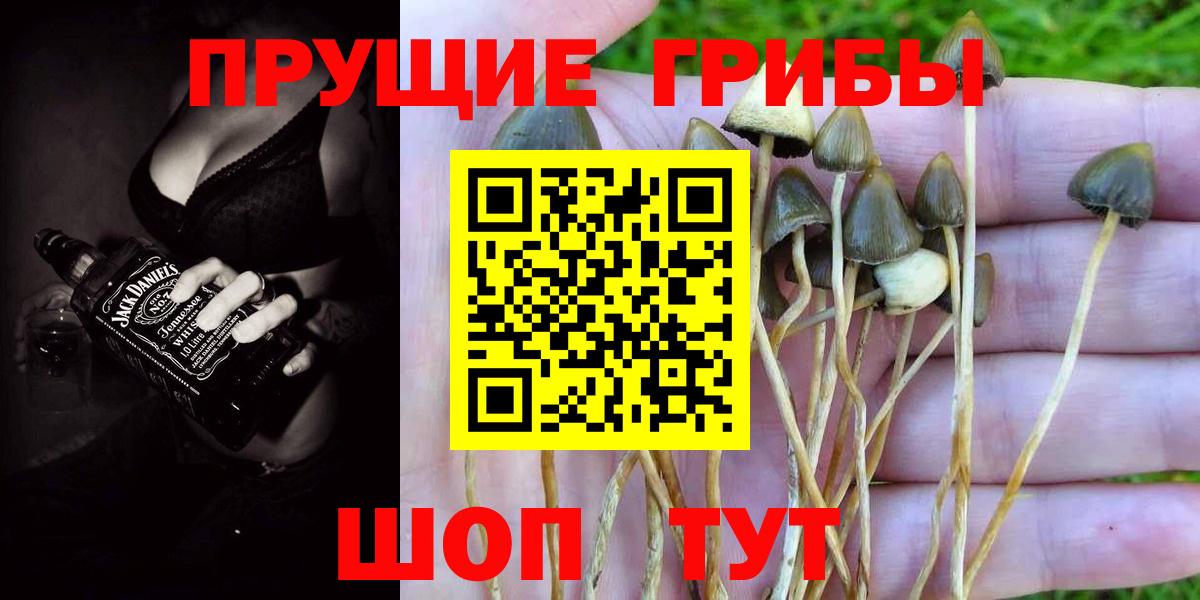 продажа наркотиков  Псилоцибиновые грибы Psilocybine cubensis  Вход с VPN  Усолье-Сибирское  Галлюциногенные грибы мицелий 